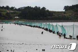 여수여자만갯벌노을체험행사