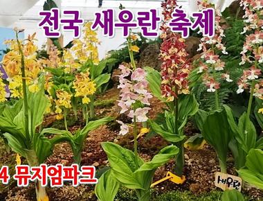 전국 새우란 축제