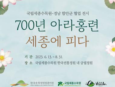 국립세종수목원 700년 아라홍련 세종에 피다