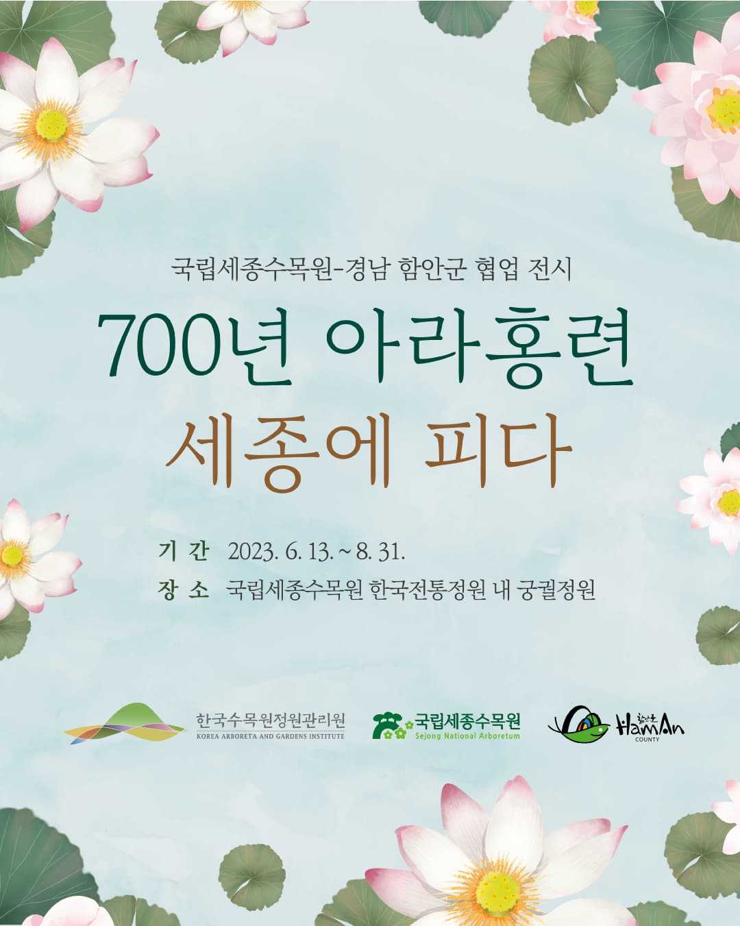 국립세종수목원 700년 아라홍련 세종에 피다