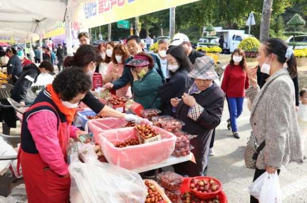 보은대추축제