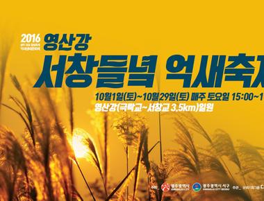 광주서창억새축제