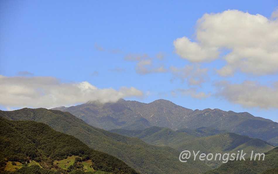 제50회 지리산평화제