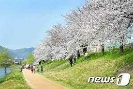 제2회 서면 벚꽃축제