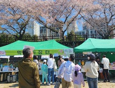 제9회 용당뚝방길 벚꽃축제