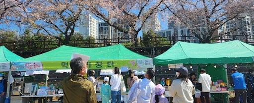 제9회 용당뚝방길 벚꽃축제