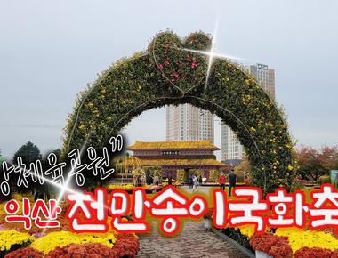 천만송이 국화축제