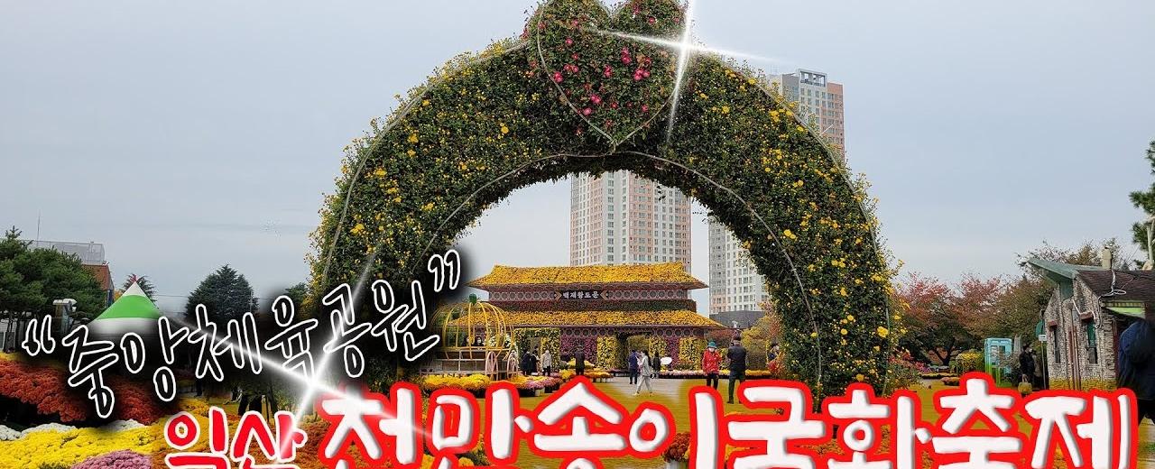 천만송이 국화축제