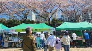 제9회 용당뚝방길 벚꽃축제