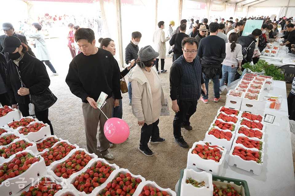 논산딸기축제