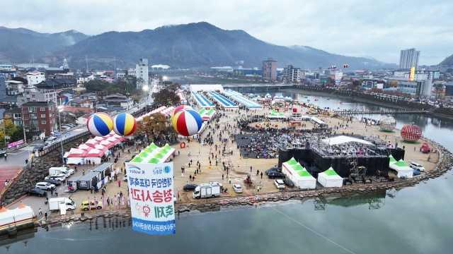 청송사과축제