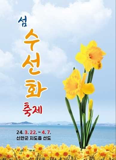 섬 수선화 축제