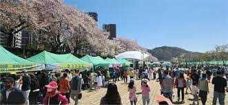 제9회 용당뚝방길 벚꽃축제