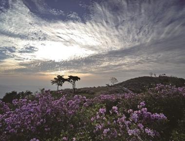 백운산국사봉철쭉제