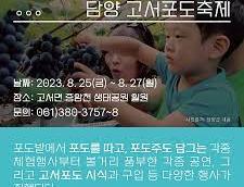 고서포도축제