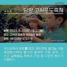 고서포도축제