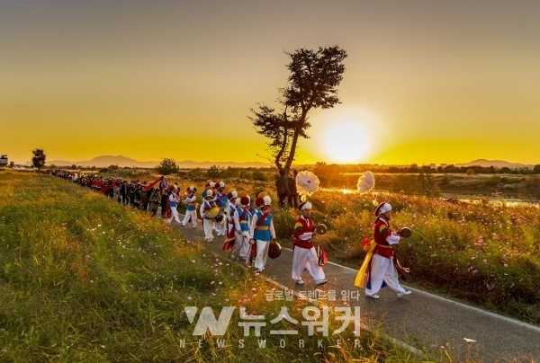 영산강 서창들녘 억새축제