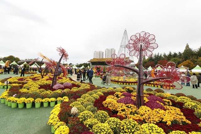 천만송이 국화축제