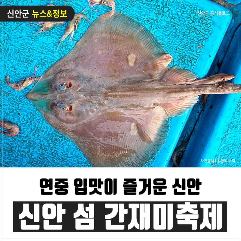 섬 간재미축제(미정)