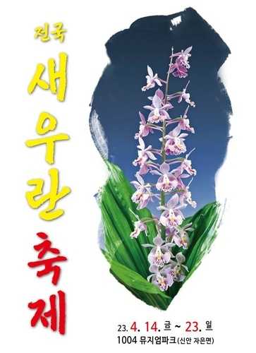 전국 새우란 축제