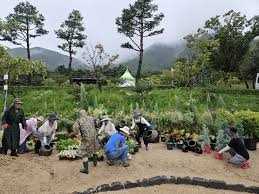 수려한합천영화제