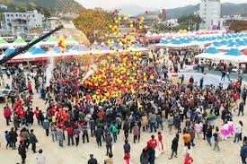 청송사과축제