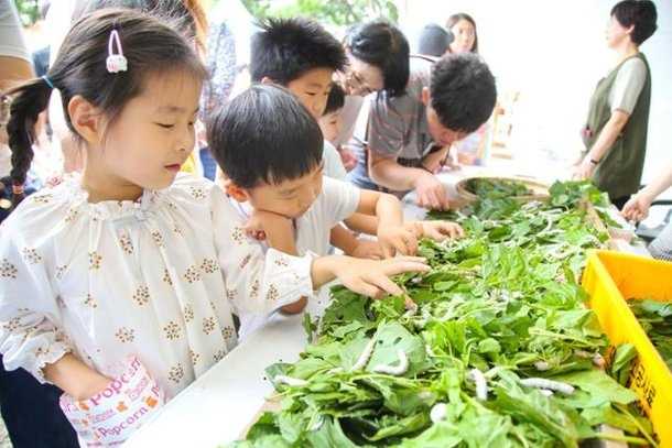 잠원나루축제